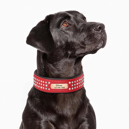 Collier pour chien élégant en cuir avec rangées de strass brillants