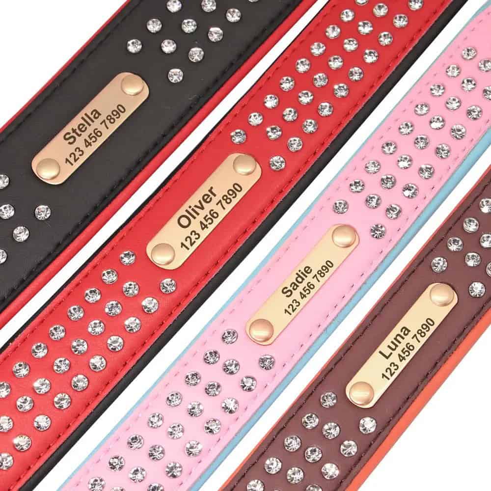 Détail du collier en cuir pour chien avec plaque personnalisable
