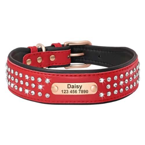 Collier personnalisé pour chien en cuir rouge avec strass et plaque