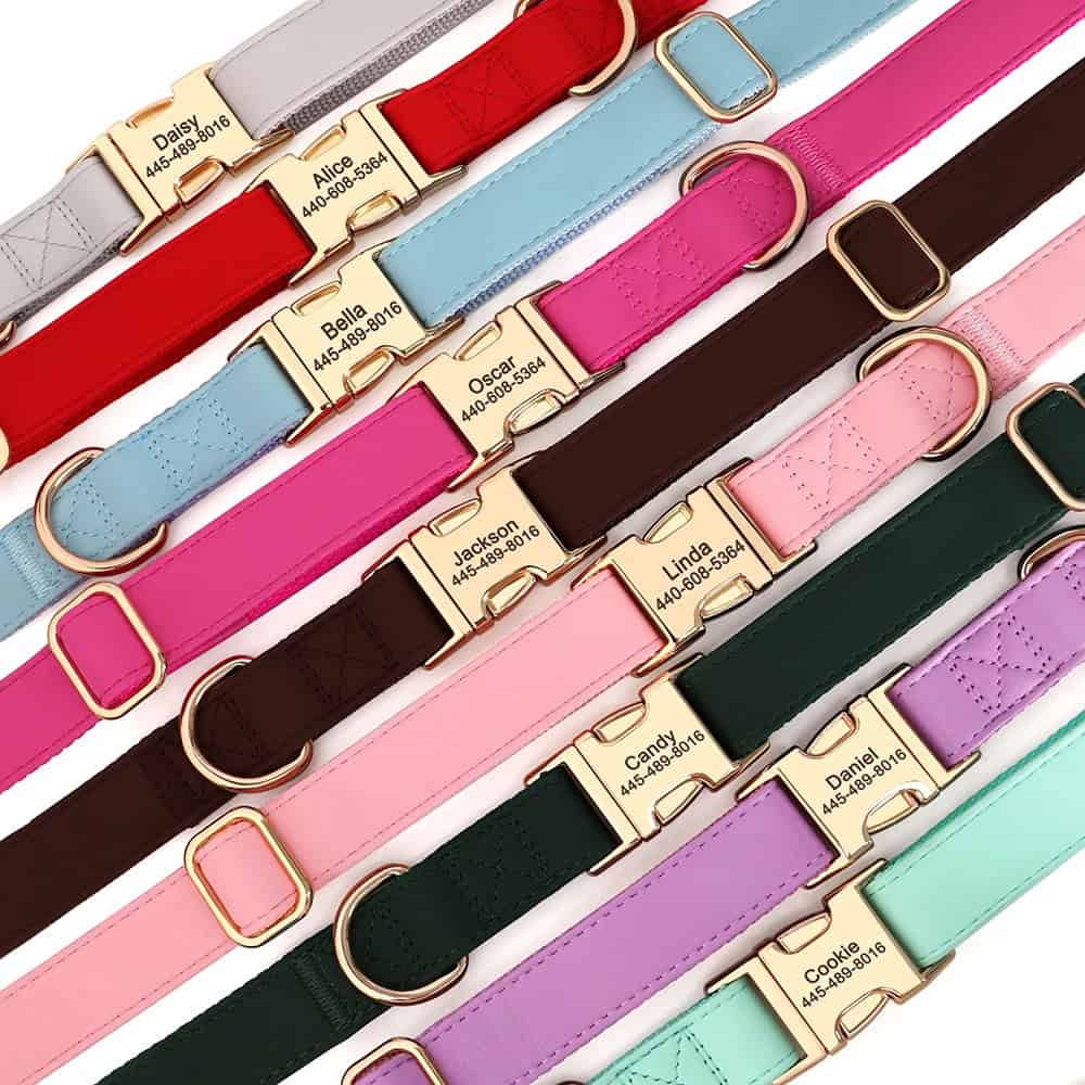 Collier pour chien en cuir personnalisé porté avec boucle gravée dorée