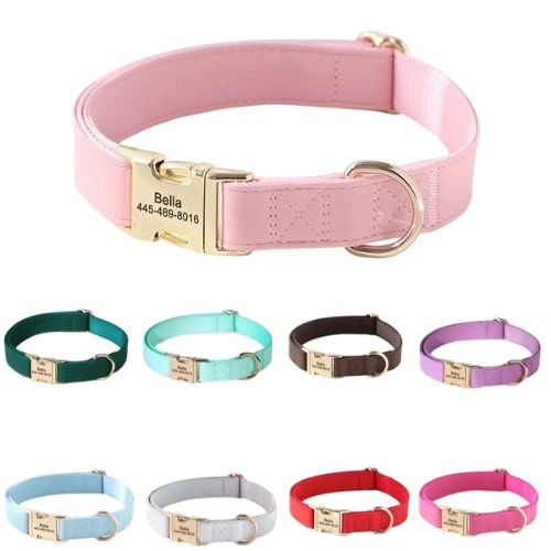 Collier personnalisé pour chien en cuir avec boucle dorée vue avant