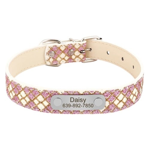 Collier personnalisé pour chien beige clair avec plaque gravée