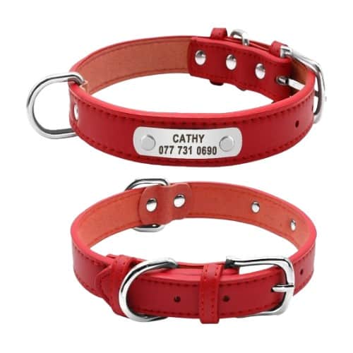 Collier personnalisé pour chien en cuir rouge avec plaque gravée sur l avant