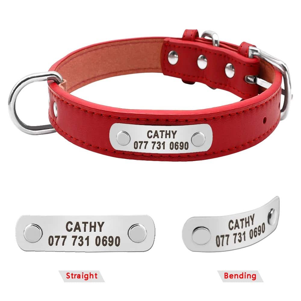 Collier pour chien en cuir avec couture apparente et plaque personnalisée