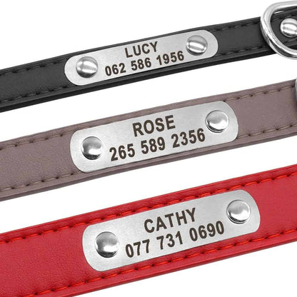 Vue générale du collier personnalisé pour chien en cuir plusieurs coloris