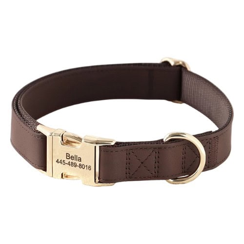 Collier personnalisé pour chien en cuir brun avec boucle dorée