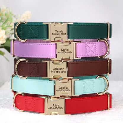 Détail du collier personnalisé pour chien avec plaque gravée et cuir