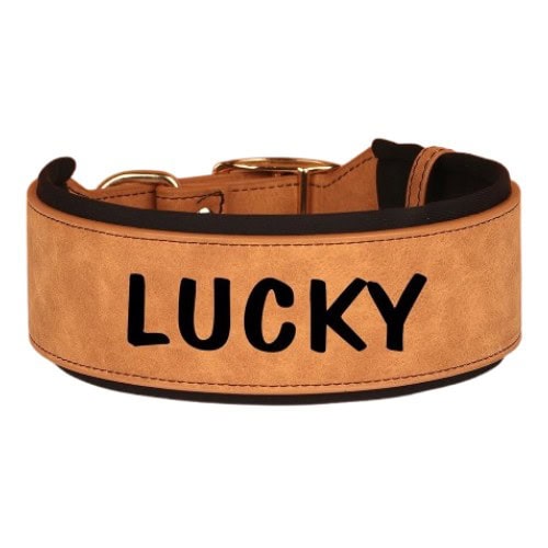 Collier personnalisé pour chien brun en cuir large à coutures contrastées