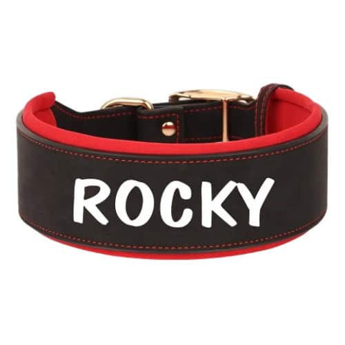 Collier personnalisé pour chien noir en cuir avec inscription visible