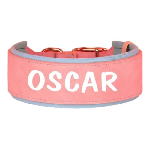 Collier personnalisé pour chien rose en cuir avec boucle métallique dorée