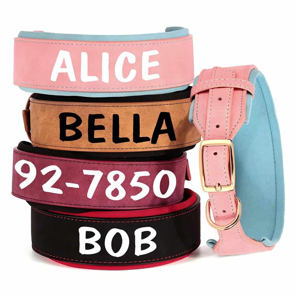 Collier personnalisé pour chien en cuir large avec boucle dorée