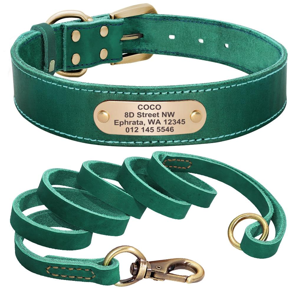 Ensemble collier et laisse vert sapin en cuir PU pour chien