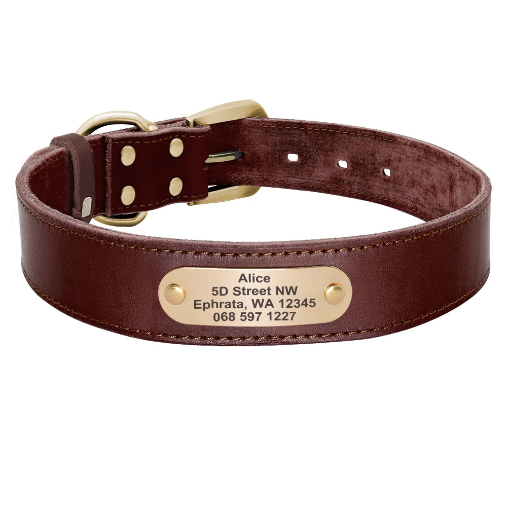 Collier personnalisé pour chien en cuir PU plaque métal