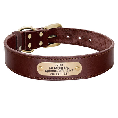 Collier pour chien marron foncé en cuir PU avec plaque gravée