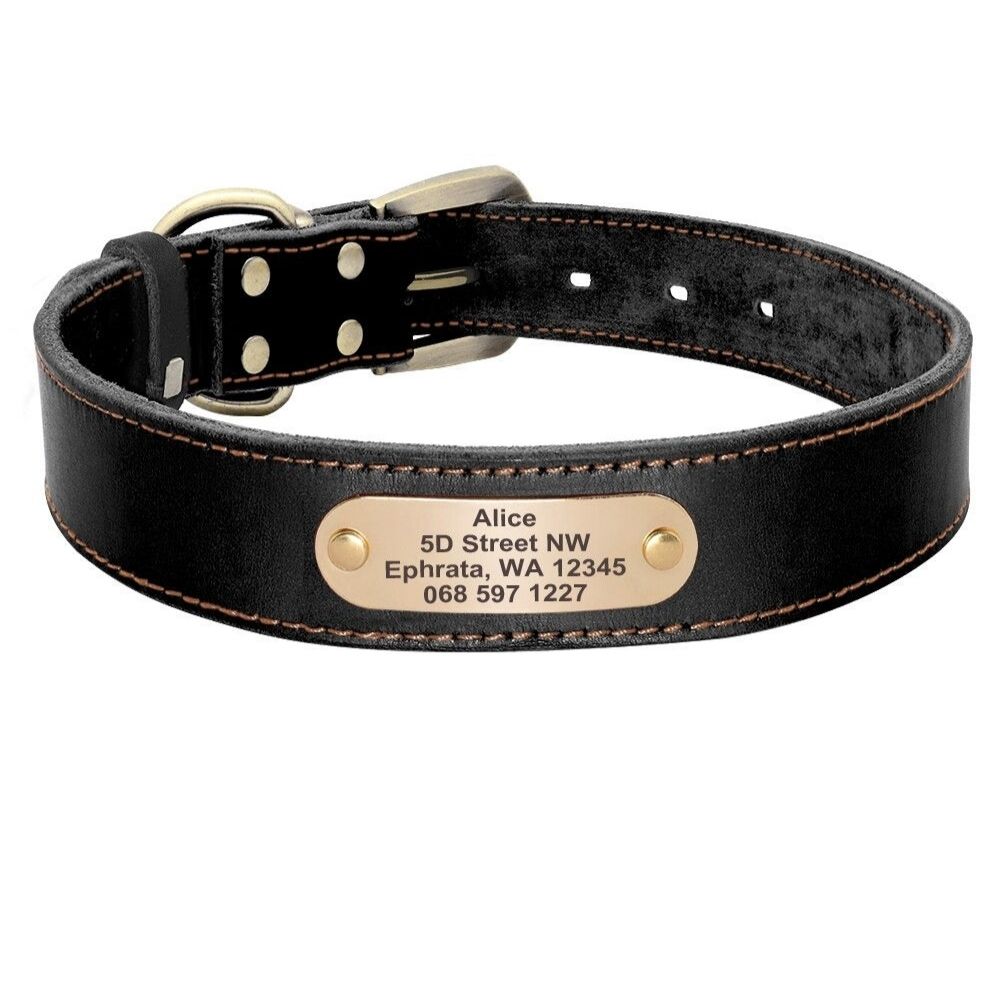 Collier pour chien noir en cuir PU avec plaque gravée