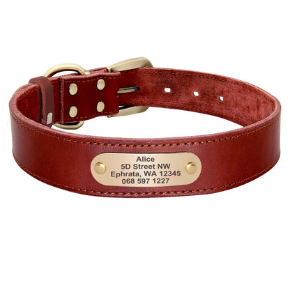 Collier personnalisé pour chien en cuir PU plaque métal