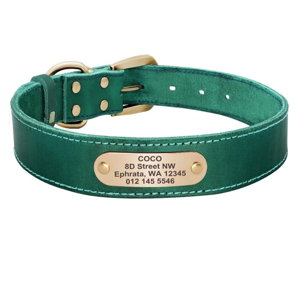 Collier personnalisé pour chien en cuir PU plaque métal