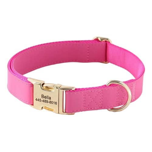 Collier personnalisé pour chien en cuir rose avec boucle dorée