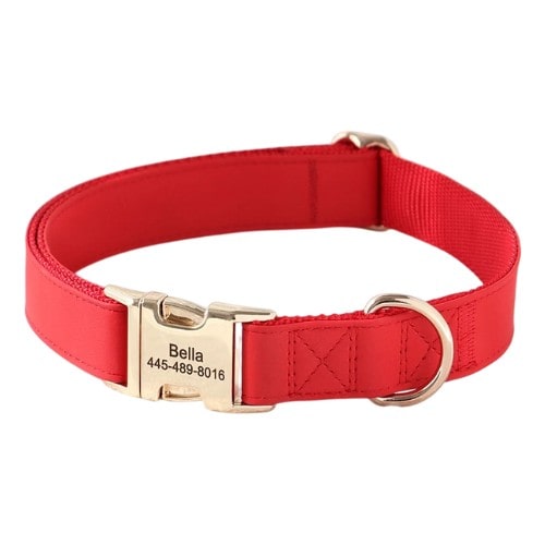 Collier personnalisé pour chien en cuir rouge avec boucle dorée