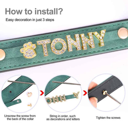 Détail du collier pour chien avec boucle dorée et lettres brillantes