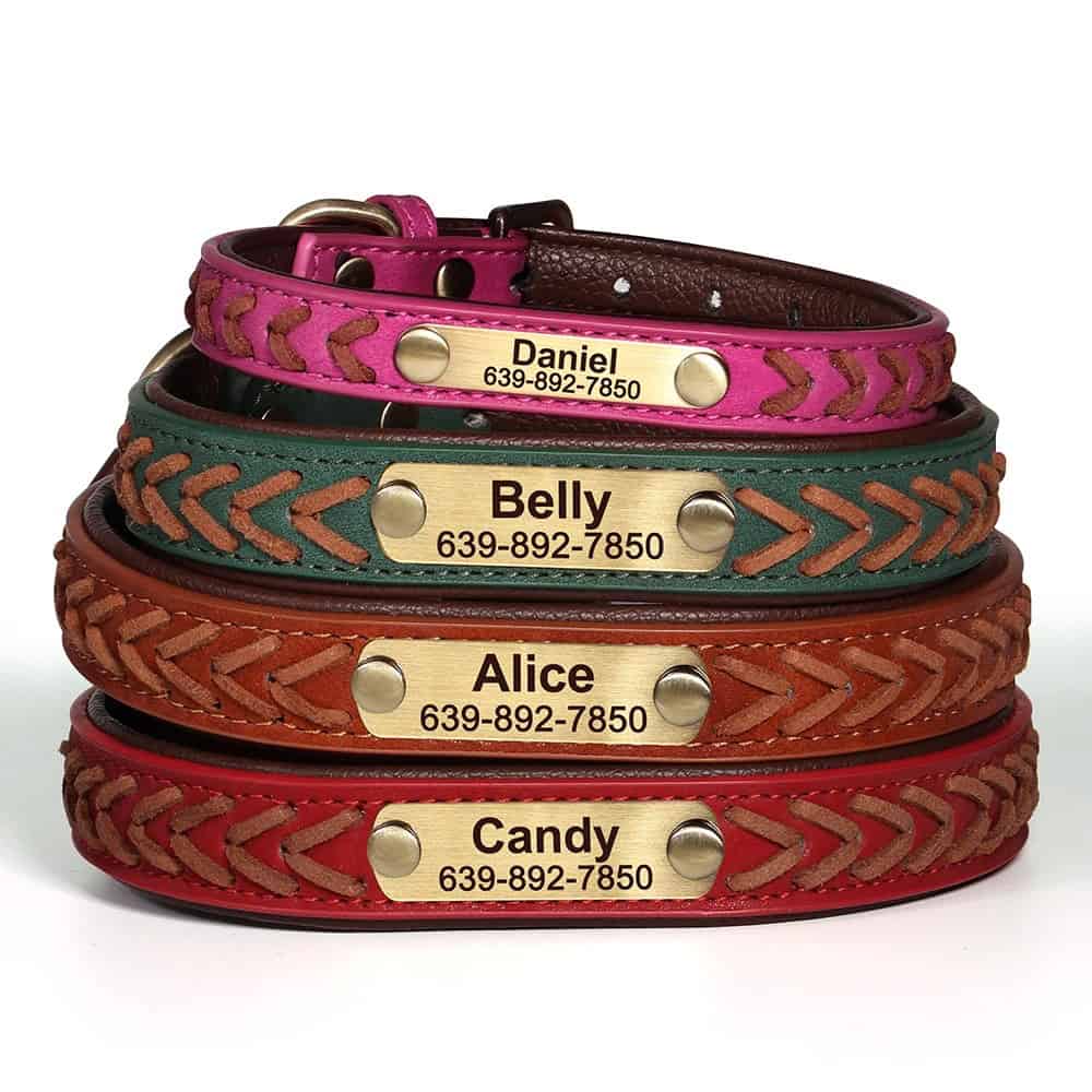 Détail du collier pour chien en cuir avec gravure personnalisée