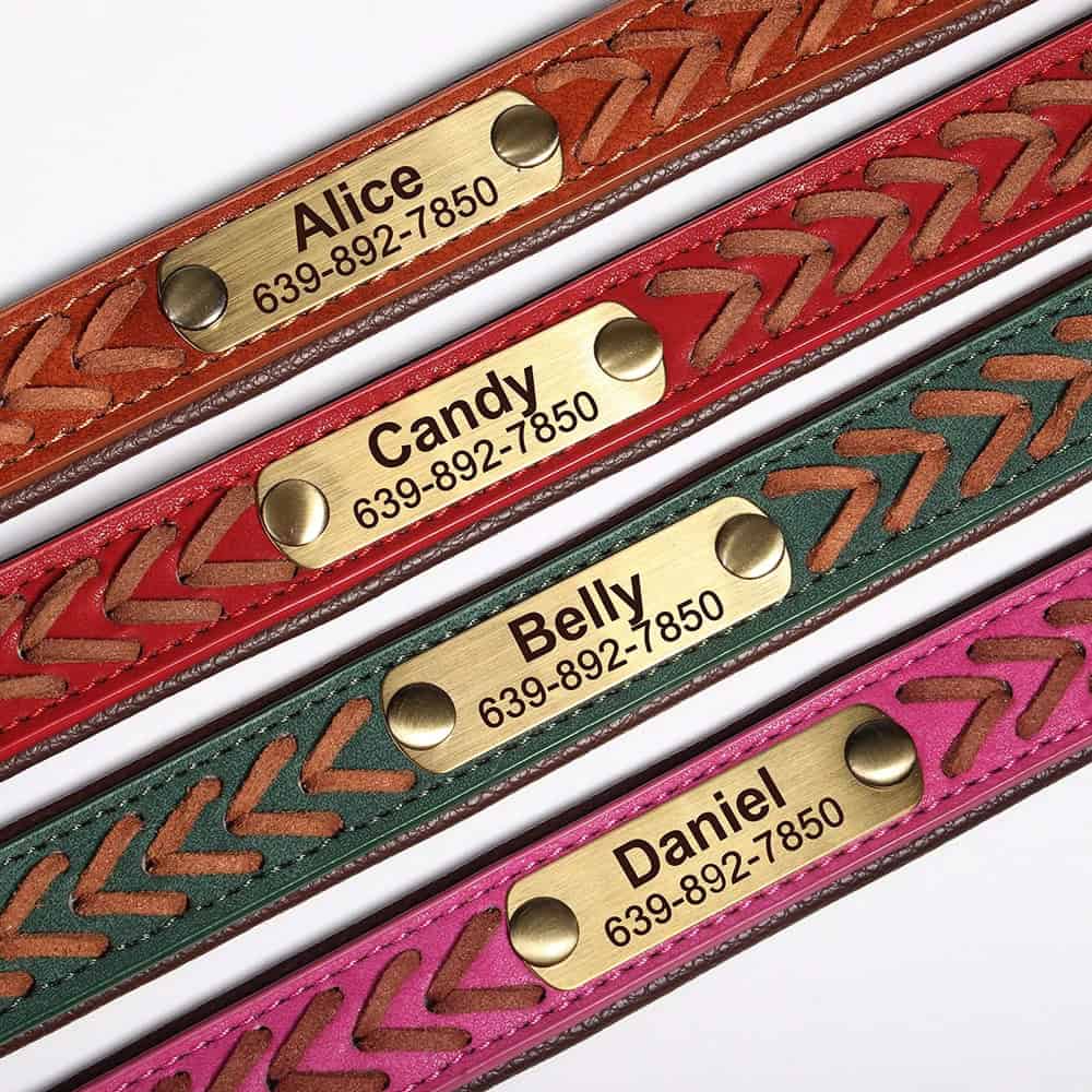 Vue du collier personnalisé pour chien avec boucle et plaque