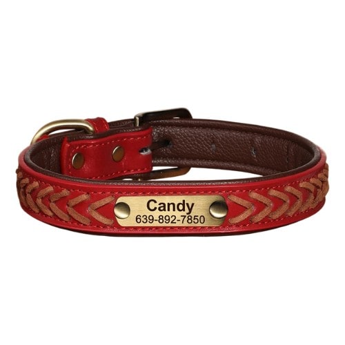Collier personnalisé pour chien rouge avec plaque gravée en métal