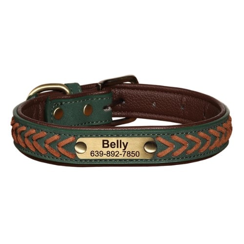 Collier personnalisé pour chien vert en cuir tressé ajustable
