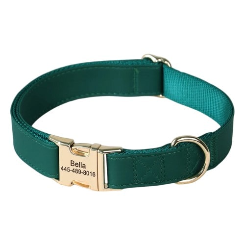 Collier personnalisé pour chien en cuir vert foncé avec boucle dorée