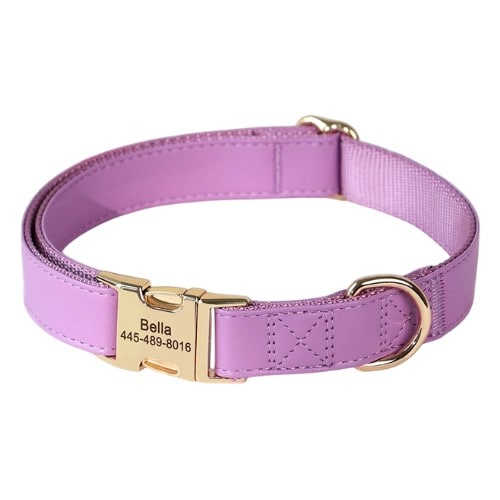 Collier personnalisé pour chien en cuir violet avec boucle dorée