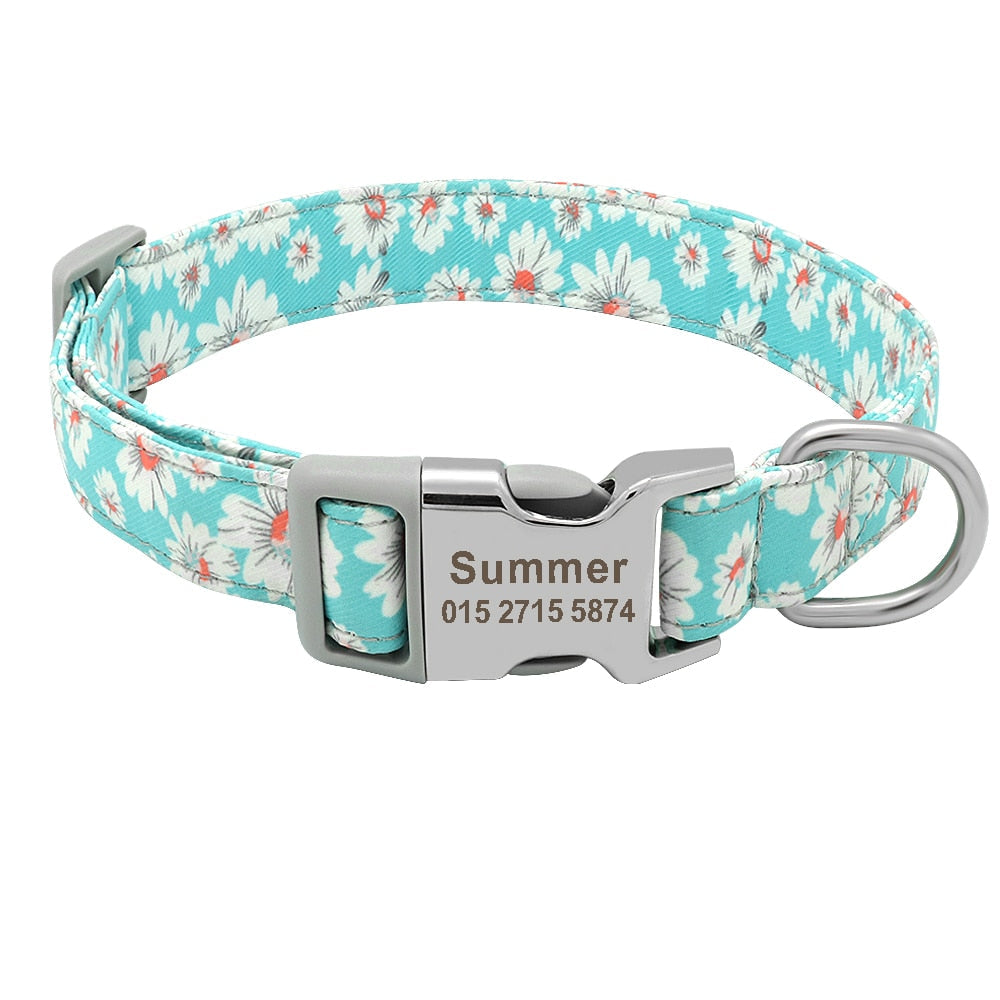 Collier pour chien bleu clair et blanc avec boucle métal gravée