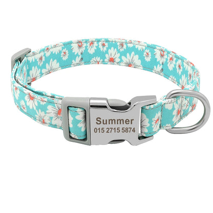 Collier pour chien bleu clair et blanc avec boucle métal gravée