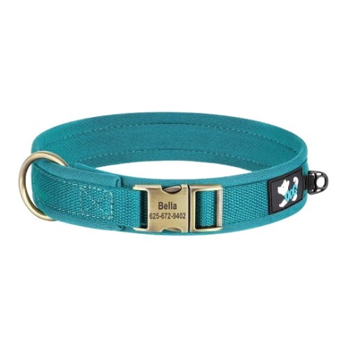 Collier personnalisé pour chien bleu en toile résistante et néoprène doux
