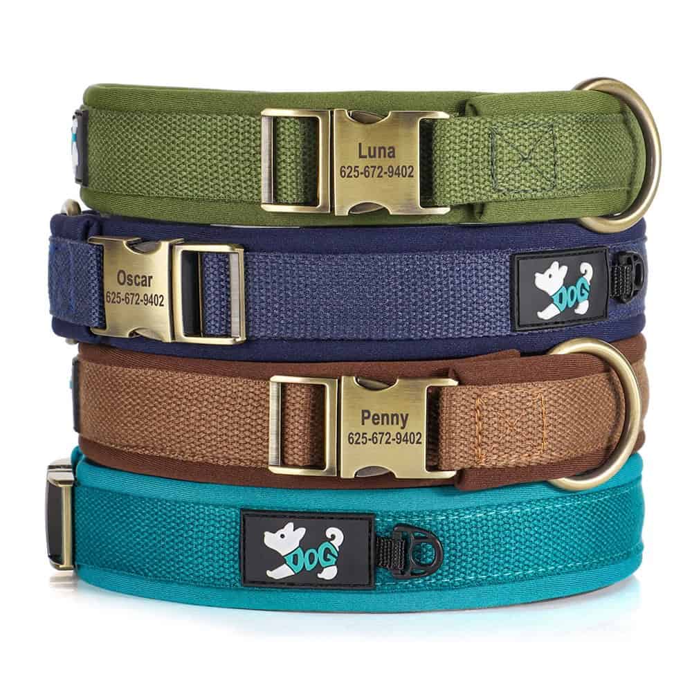 Détail du collier pour chien avec rembourrage doux et anneau en D