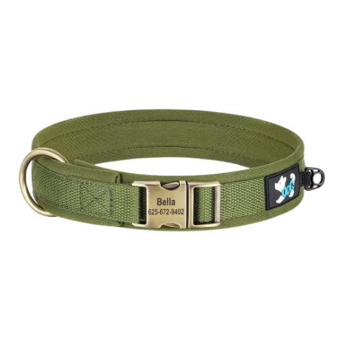 Collier personnalisé pour chien vert avec boucle métal et anneau laisse