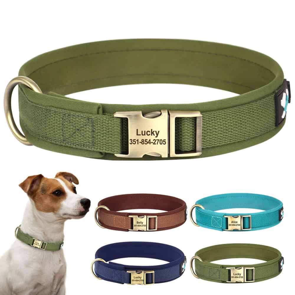 Collier personnalisé pour chien en toile rembourrée avec boucle métal gravée