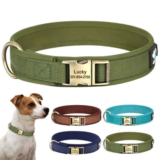 Collier personnalisé pour chien en toile rembourrée avec boucle métal gravée