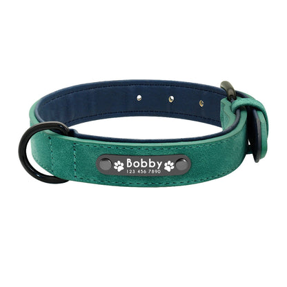 Collier pour chien vert rembourré avec boucle et gravure visible