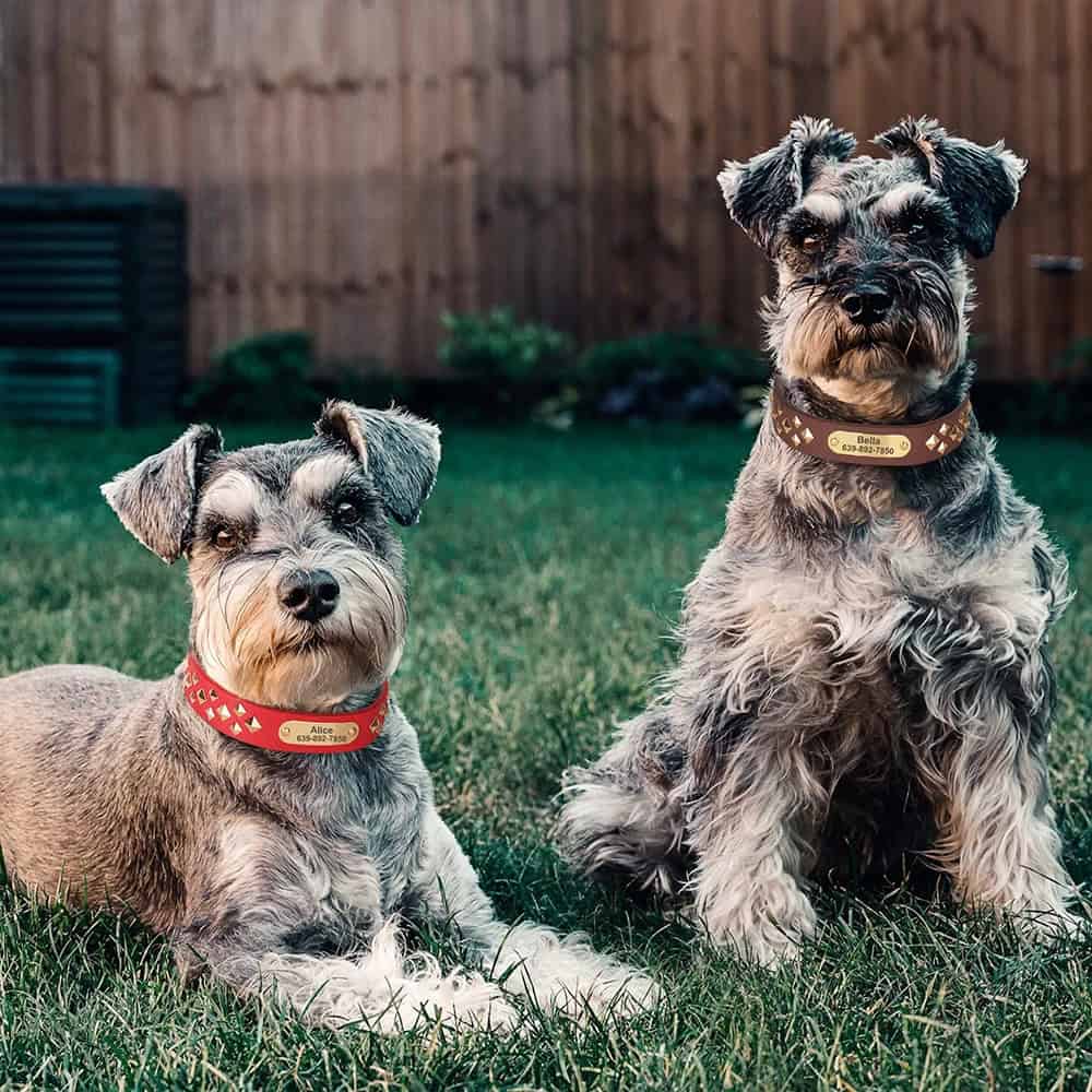 woo_img_003